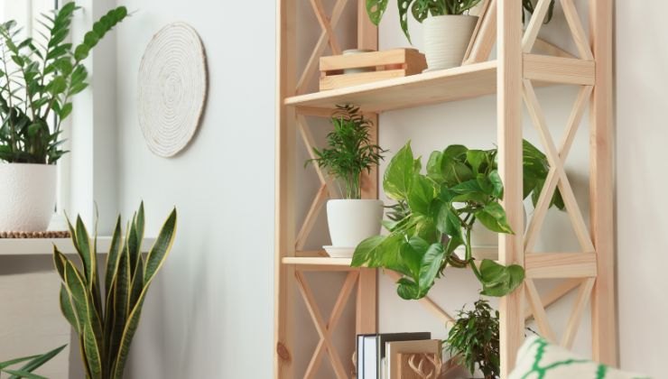 Abbellisci casa con i porta piante in legno: creano un ambiente green con  un tocco di lusso