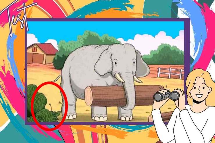 Test visivo elefante: soluzione