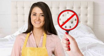 Finalmente puoi dire addio alle cimici: questi rimedi naturali funzionano davvero