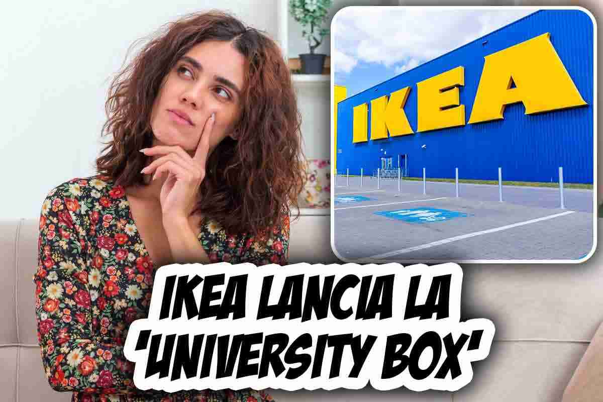 Ikea lancia la ‘University Box’: di cosa si tratta e quanto costa | Offerta pazzesca