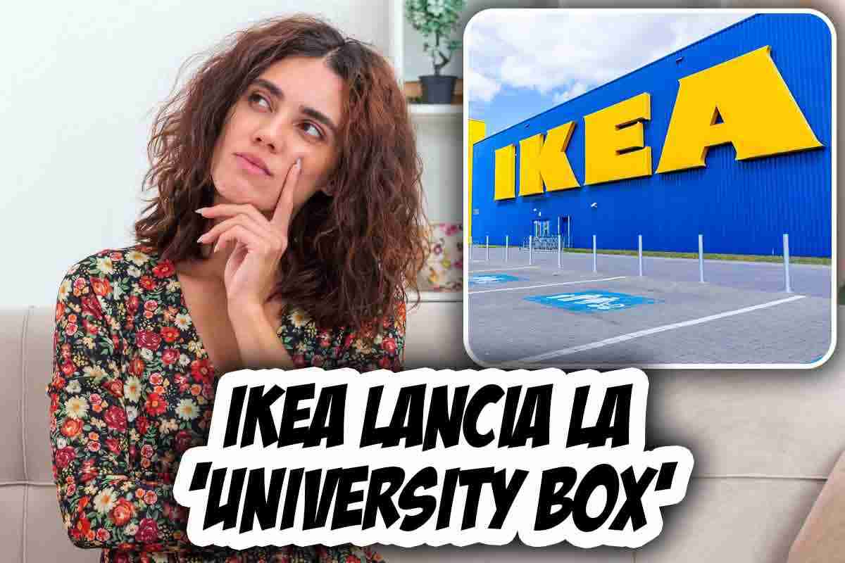 Cos'è l'University box di Ikea