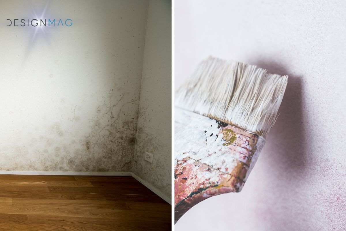 Cos'è la pittura antimuffa termica
