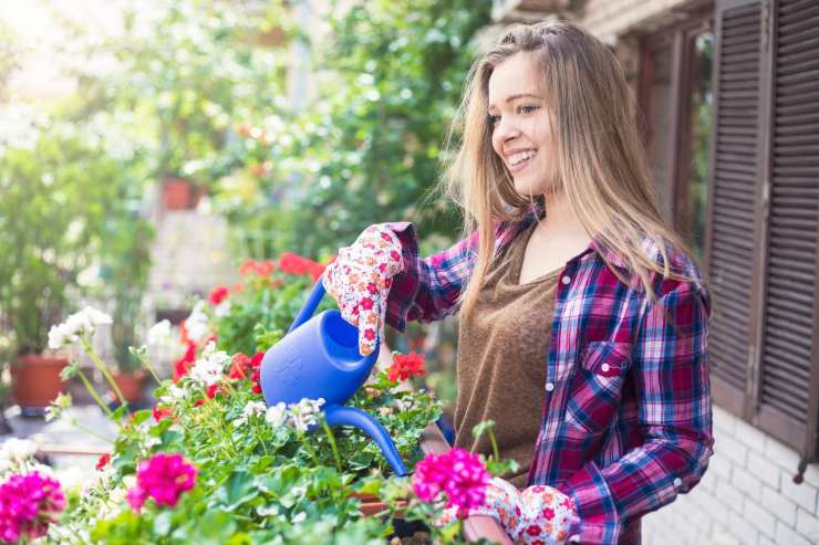 come mantenere le piante da balcone?