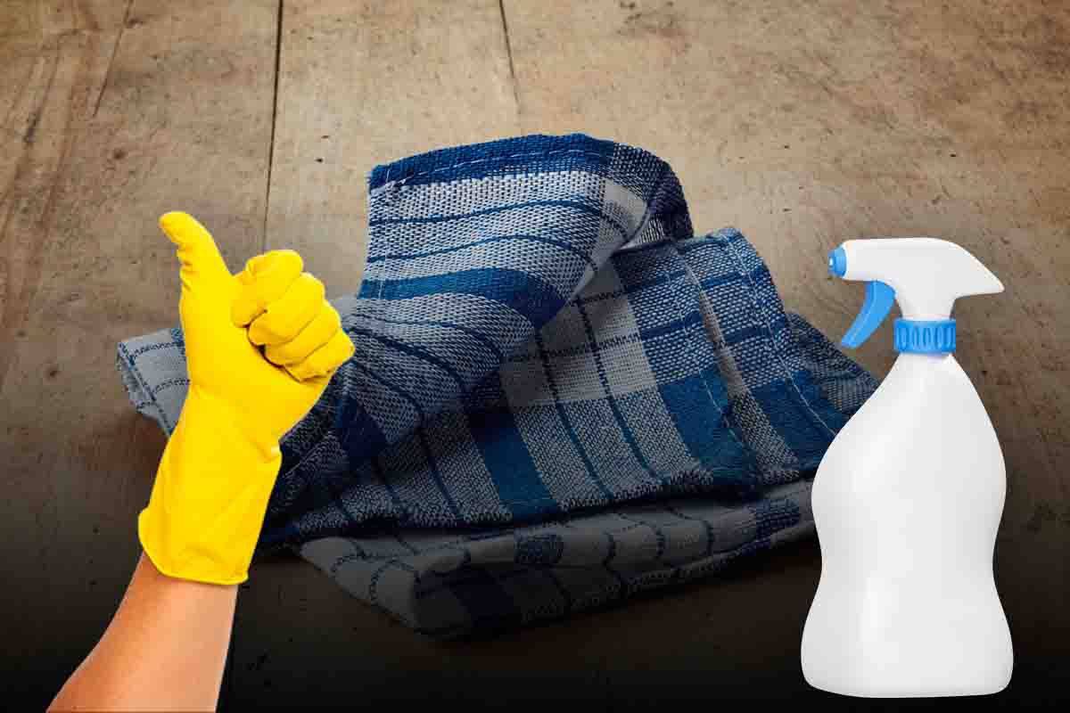 canovacci disinfettati metodo