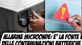 Allarme microonde: è la fonte delle contaminazioni batteriche, devi pulirlo così e questi 10 cibi non li devi mettere mai