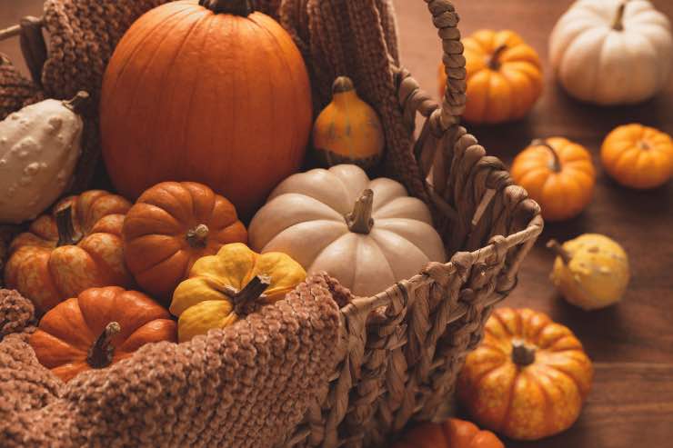 Ecco come decorare la tua casa in autunno