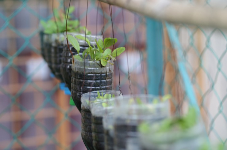 Giardino verticale con bottiglie