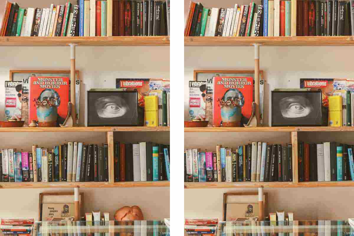 Lo avresti mai detto che queste librerie identiche hanno ben 3 differenze? Trovale tutte in 30 secondi