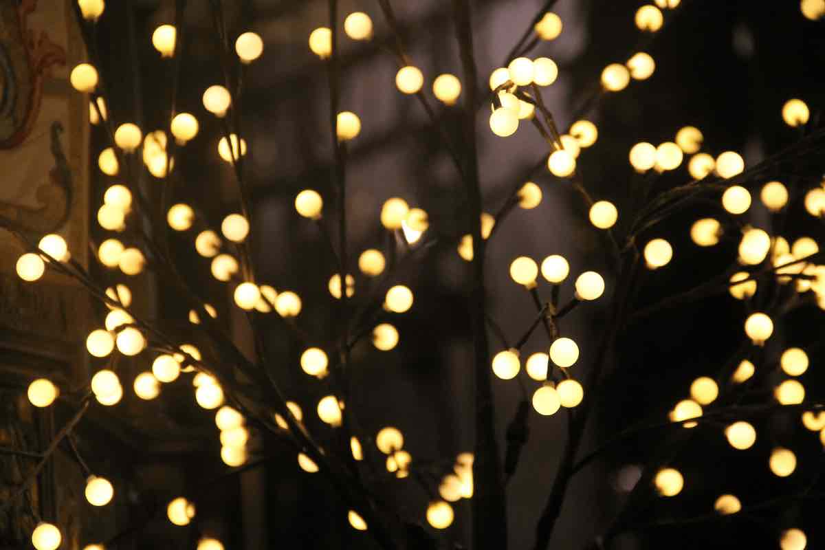 Ecco a cosa fare attenzione quando si acquistano le luci natalizie da esterno