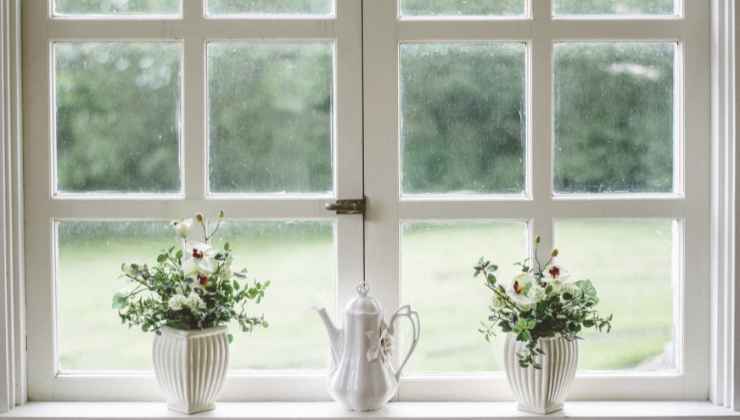 piante ai lati delle finestre e portefinestre