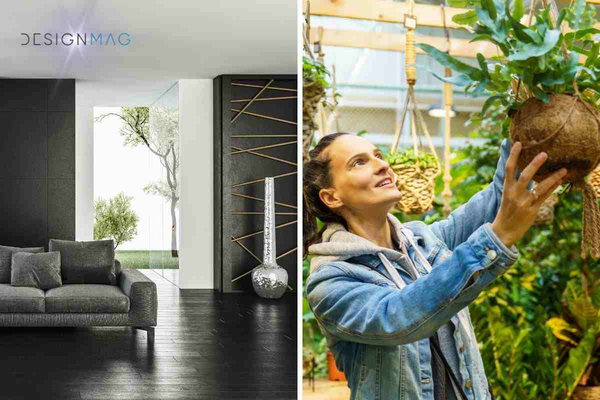 5 plantas que debes tener en tu hogar para brindarte un ambiente elegante, sofisticado y ultra chic