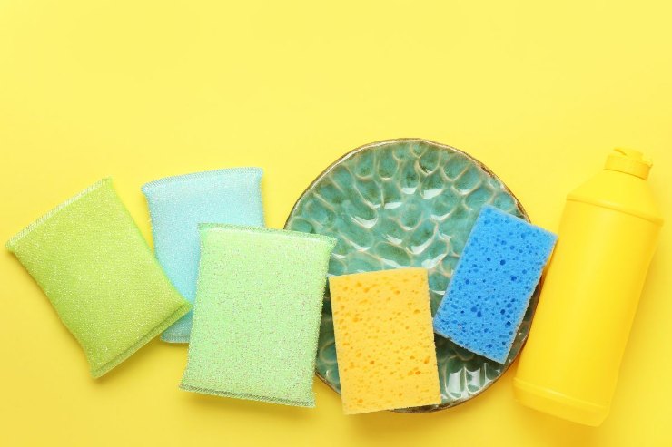 Why you shouldn't use a sponge to wash dishes?