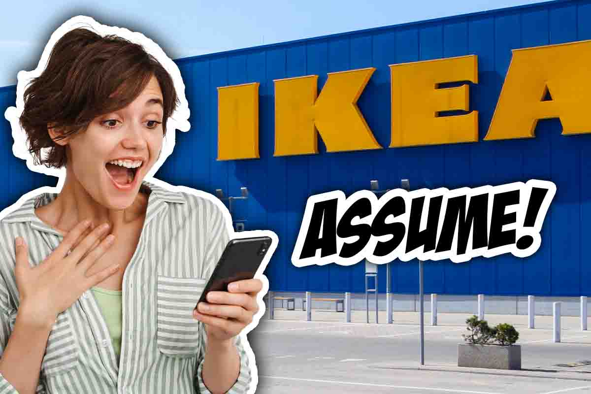 Offerte lavoro Ikea