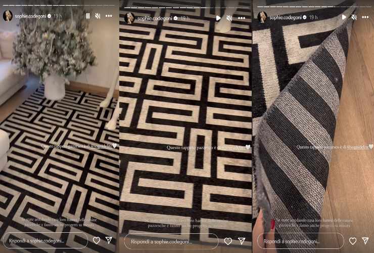 Ecco il tappeto super elegante di Sophie Codegoni, una bella idea per la casa.