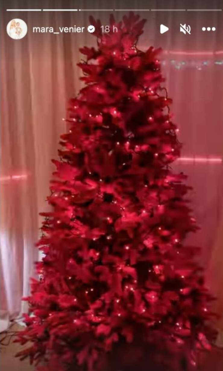 Perché l'albero di Natale di Mara Venier è così criticato
