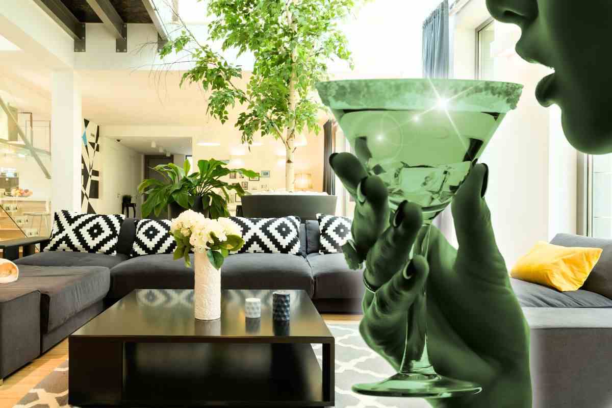 Lo Shaker e non solo: tutti gli accessori per cocktail indispensabili ad un  barman