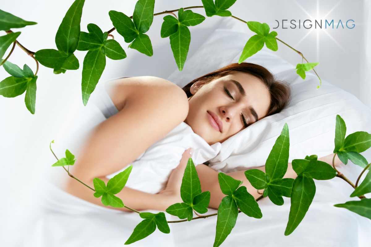 Ci sono piante che conciliano il sonno