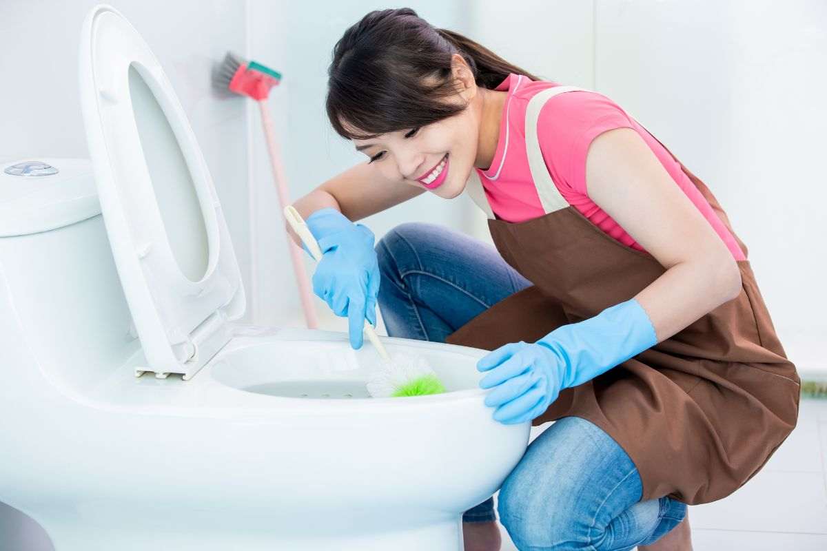 pulire wc oggetto cucina