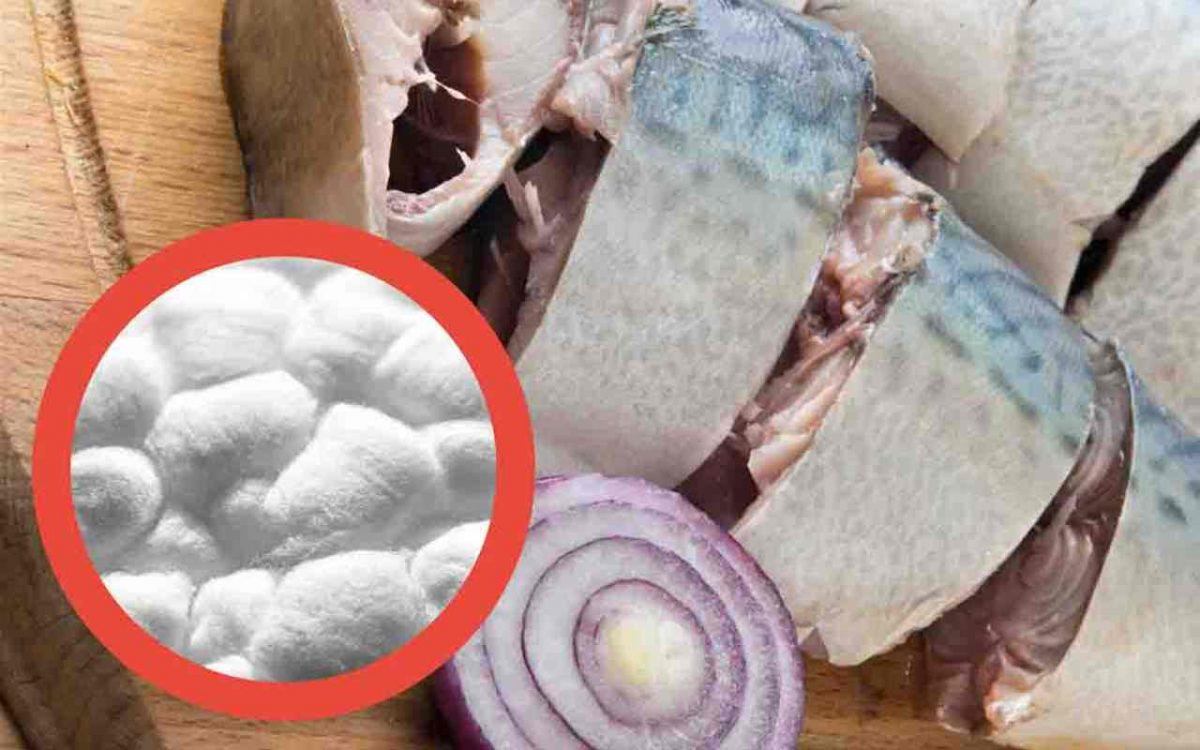 Puzza di pesce in casa? Il trucco del batuffolo di ovatta da tenere ...