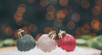 Natale da Vip, l’8 dicembre si avvicina: da Federica Pellegrini ai Ferragnez, tante idee per decorare l’albero
