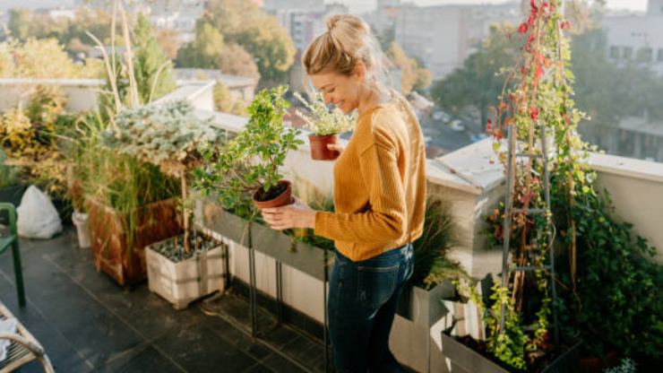 Piante per l'inverno: scopri le 5 piante che resistono alle temperature più fredde 