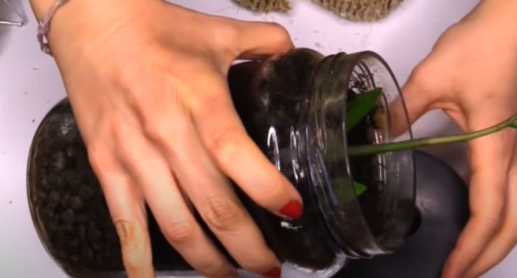 La miglior tecnica per trasformare un barattolo di vetro in un vaso