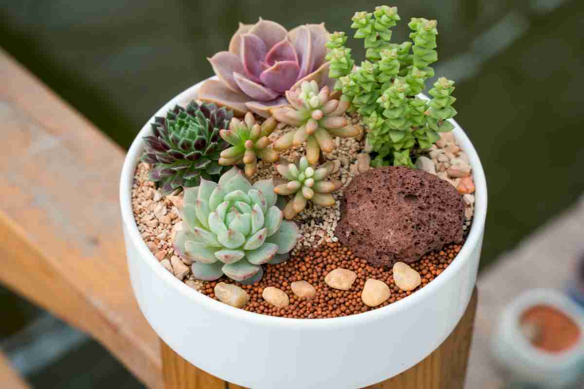 Piante Grasse Artificiali In PVC Con Rivestimento Floccato – Fai Da Te Per Decorazione Interna Ed Esterna, Senza Vaso (Vendute A Pezzi)