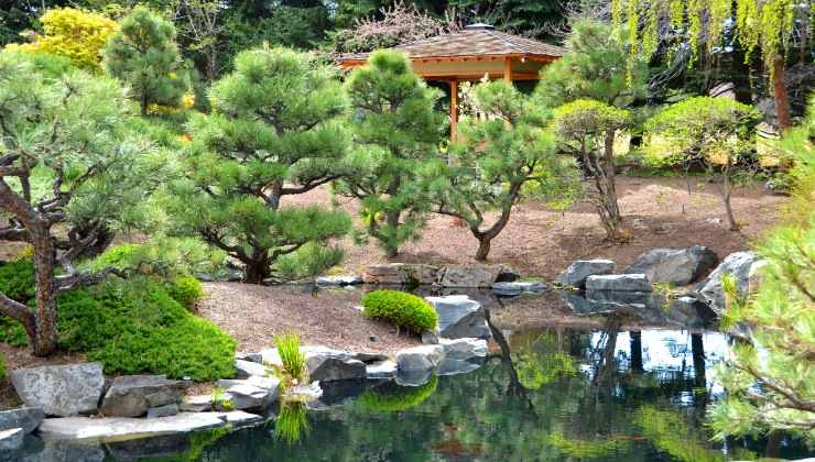 Ecco come realizzare un giardino e un'aiuola in perfetto stile Zen. 