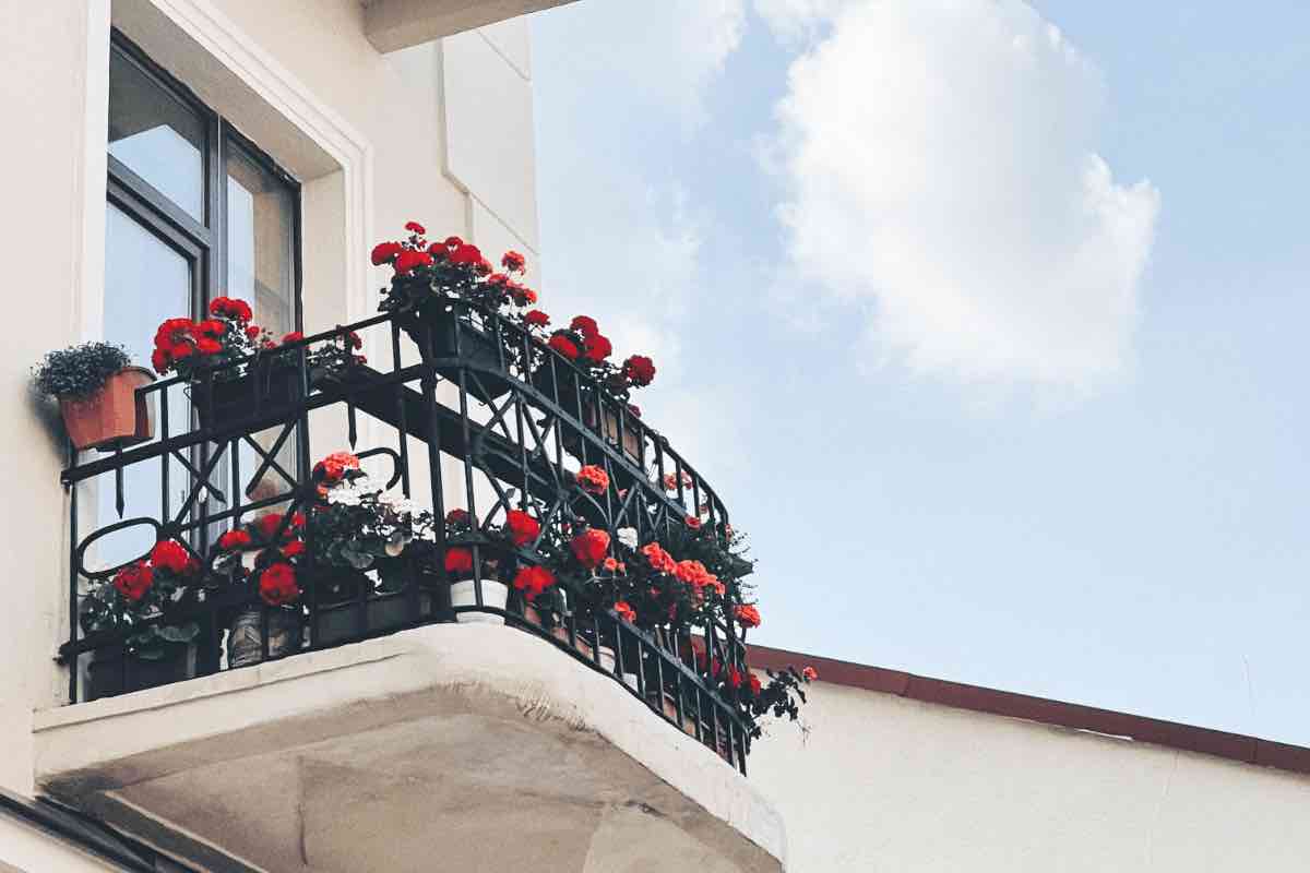 Occhio a questi 7 fiori perenni per il proprio balcone