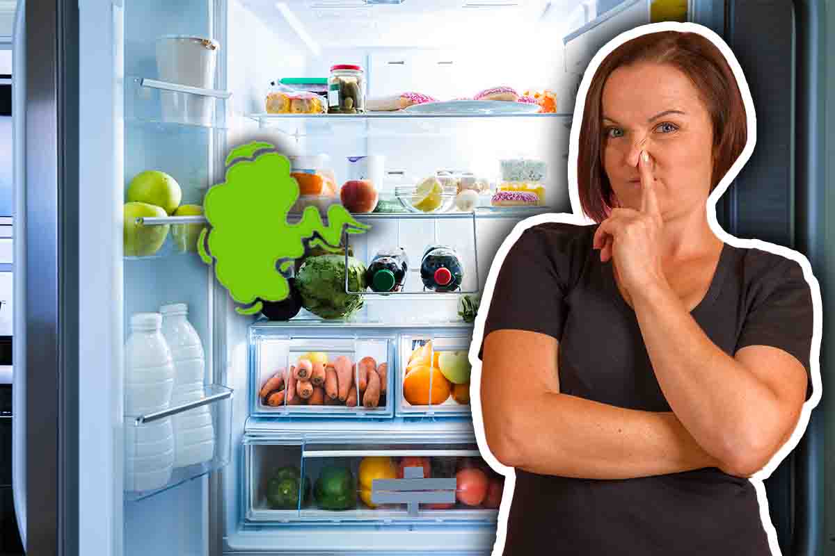 Se il tuo frigorifero emana cattivi odori c’è un motivo preciso: come risolvere in pochi minuti