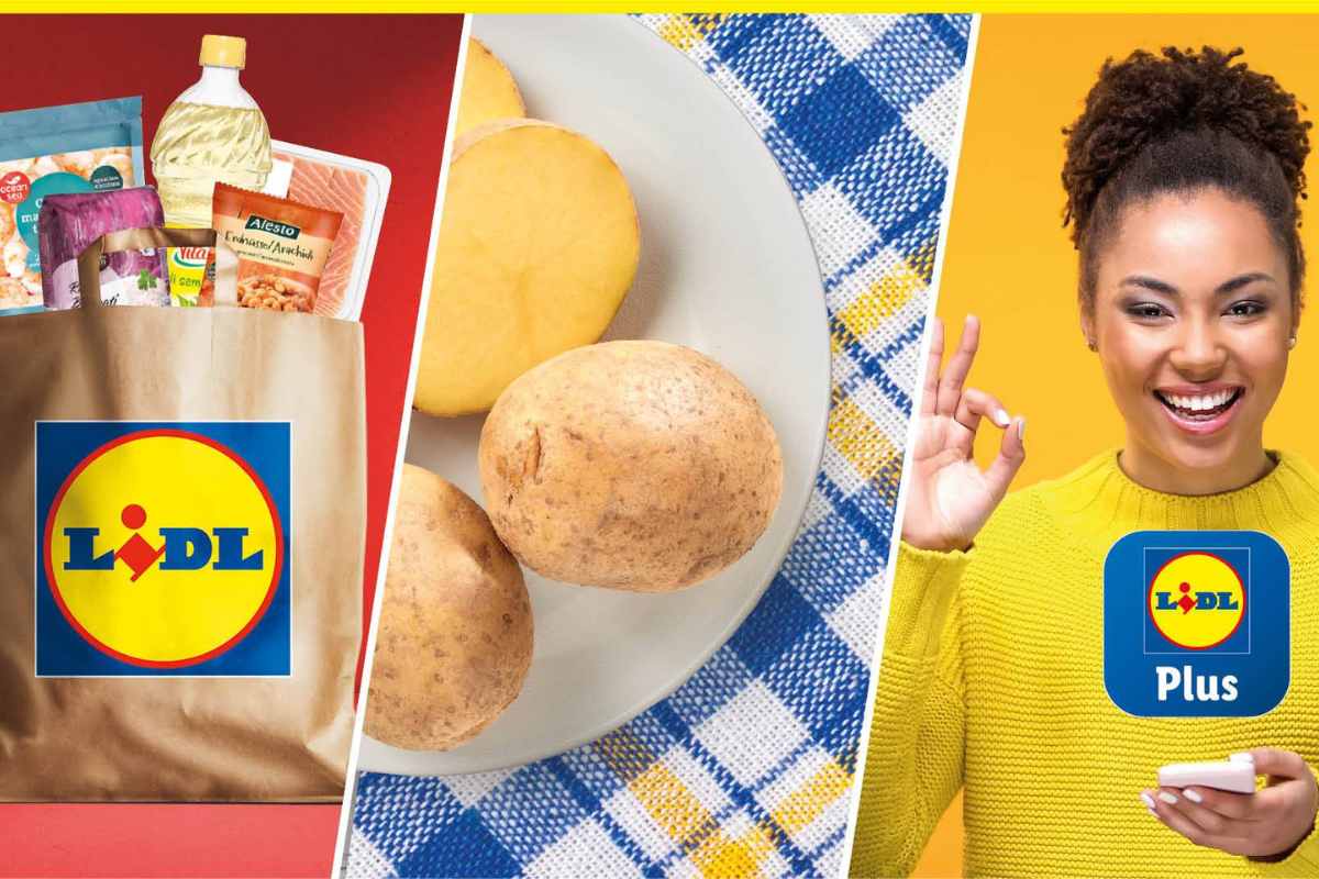 lidl