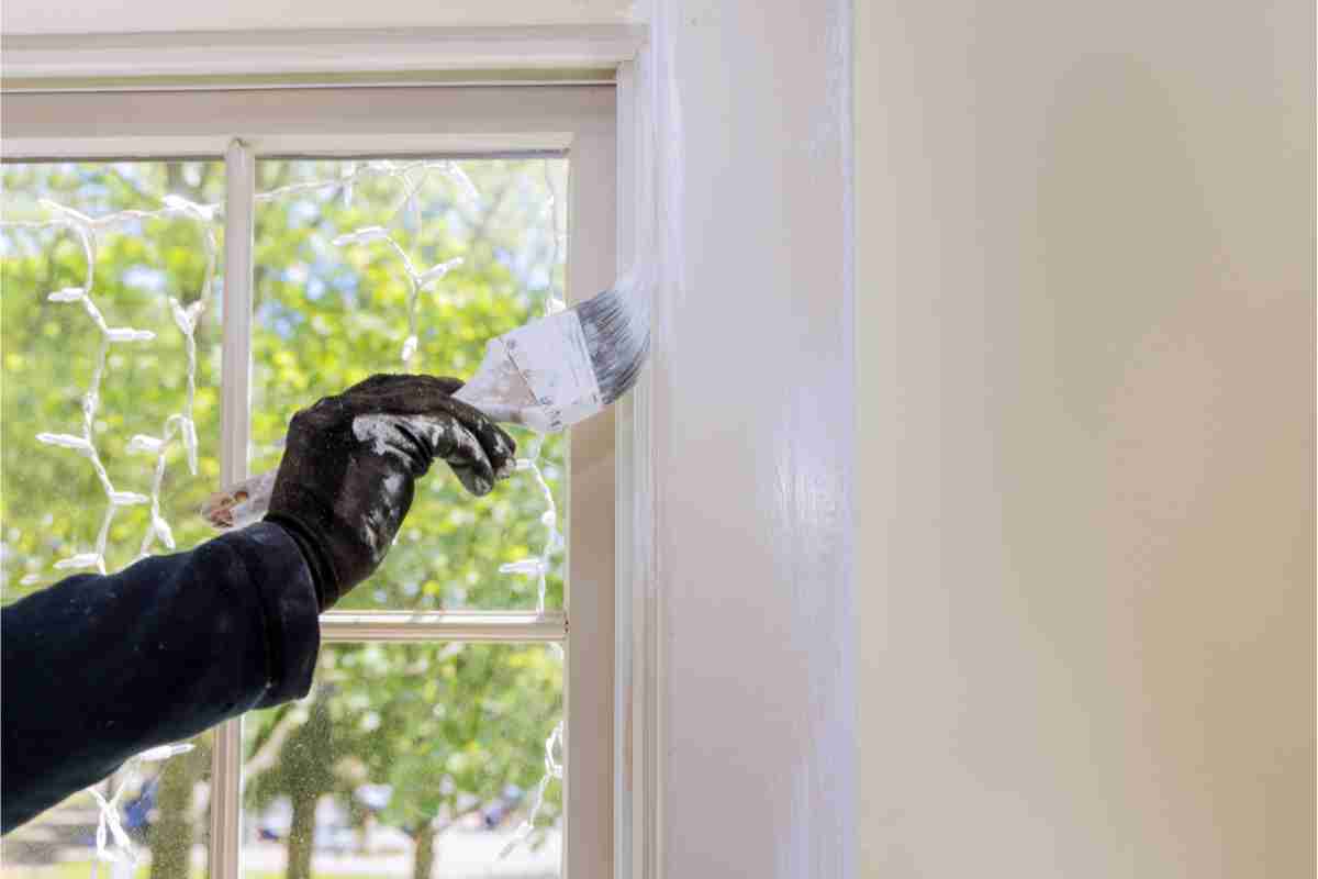 Muffa in casa, verniciare non basta: come fare per togliere l’umidità dal muro