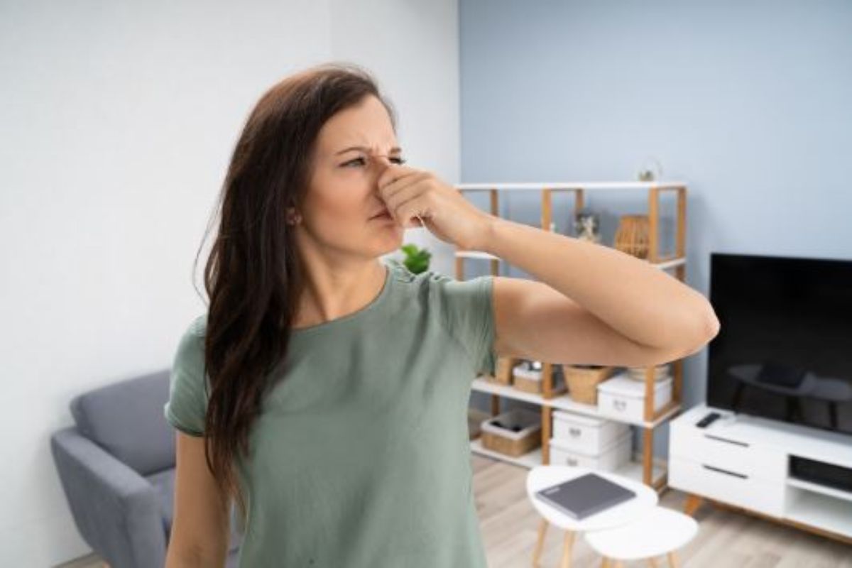 come eliminare odore di fumo da casa