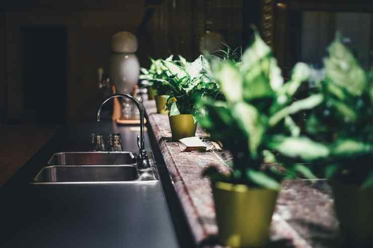 cucina piante purificatrici