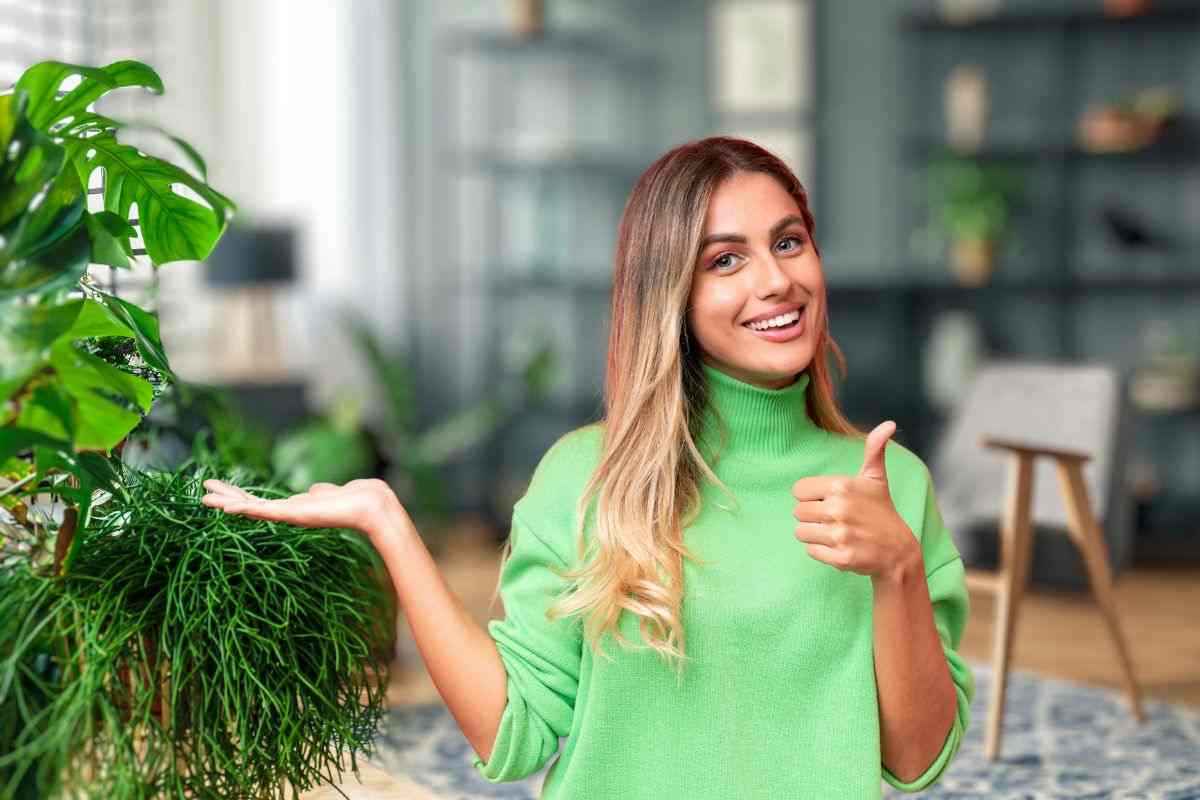 Piante tropicali da utilizzare in casa