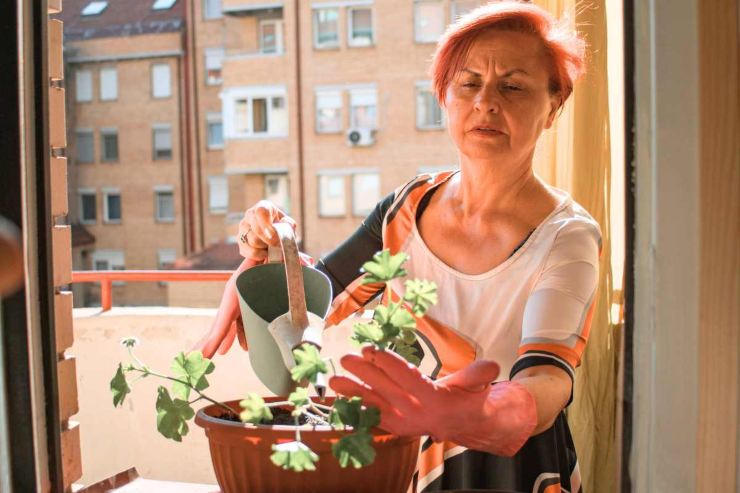 Piante da balcone: quale seminare nel mese di Aprile