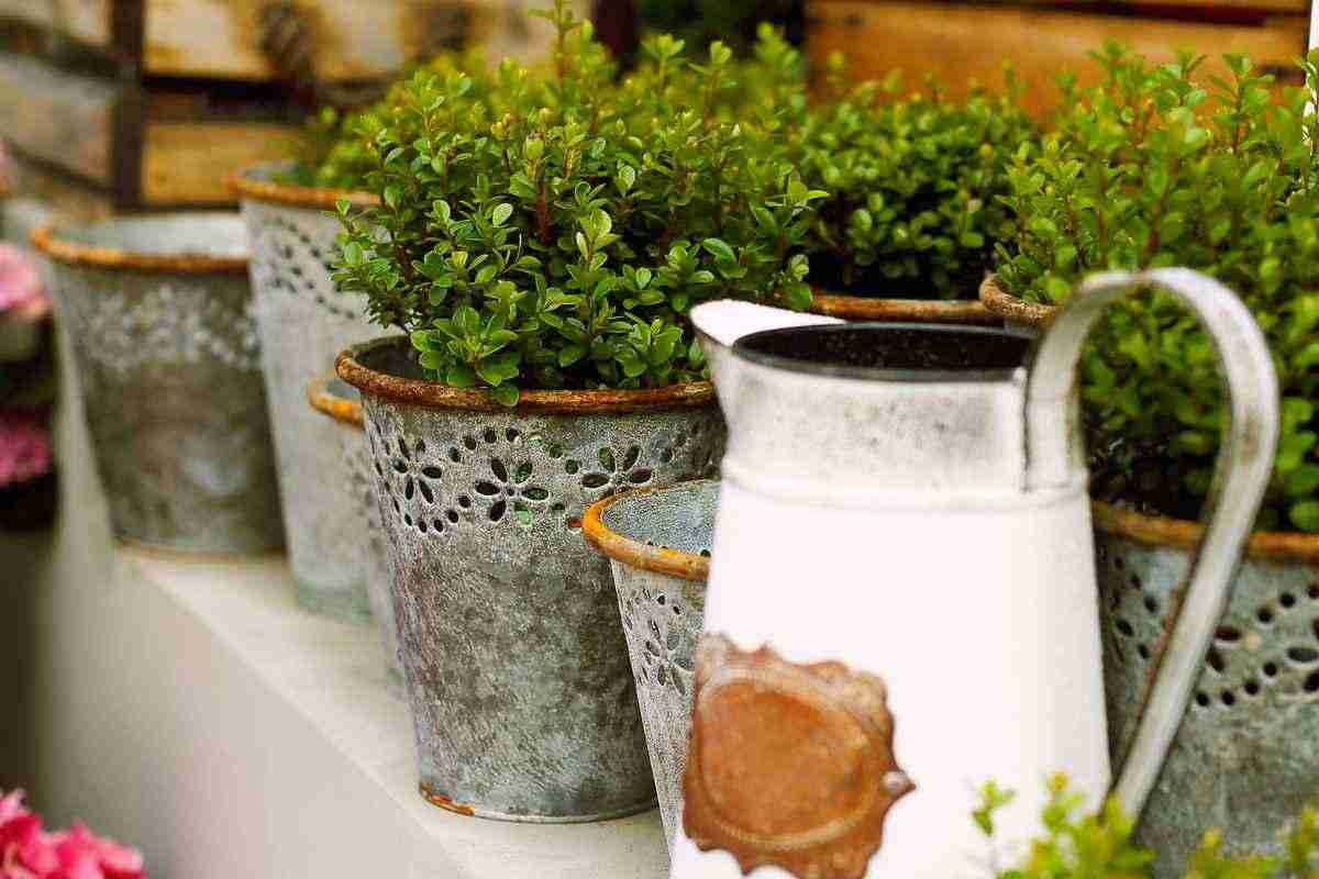Trasforma il tuo giardino in vista della primavera, utilizzando vecchi oggetti dimenticati: i vicini saranno invidiosissimi