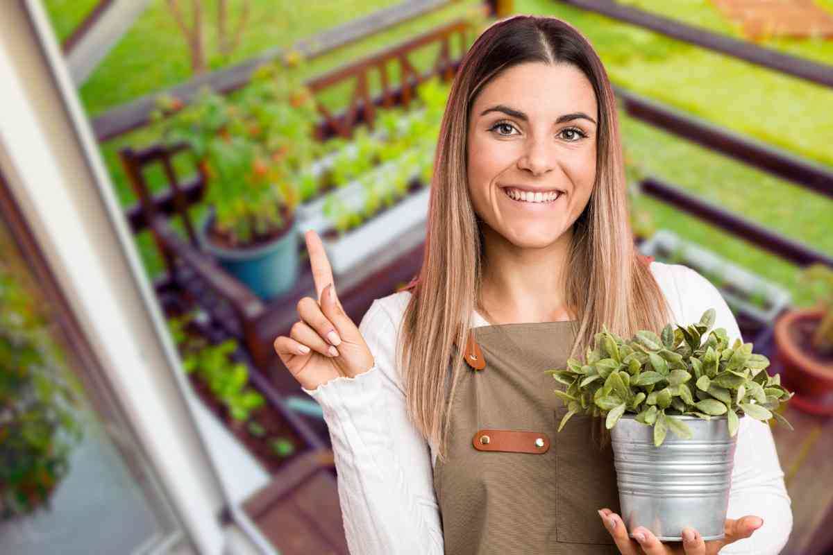 Piante da balcone e terrazzo: ecco quali scegliere per il tuo outdoor