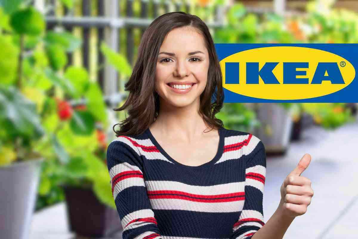 Prepara il tuo giardino all’arrivo della primavera, con le piantine Ikea sarà uno spettacolo di colori