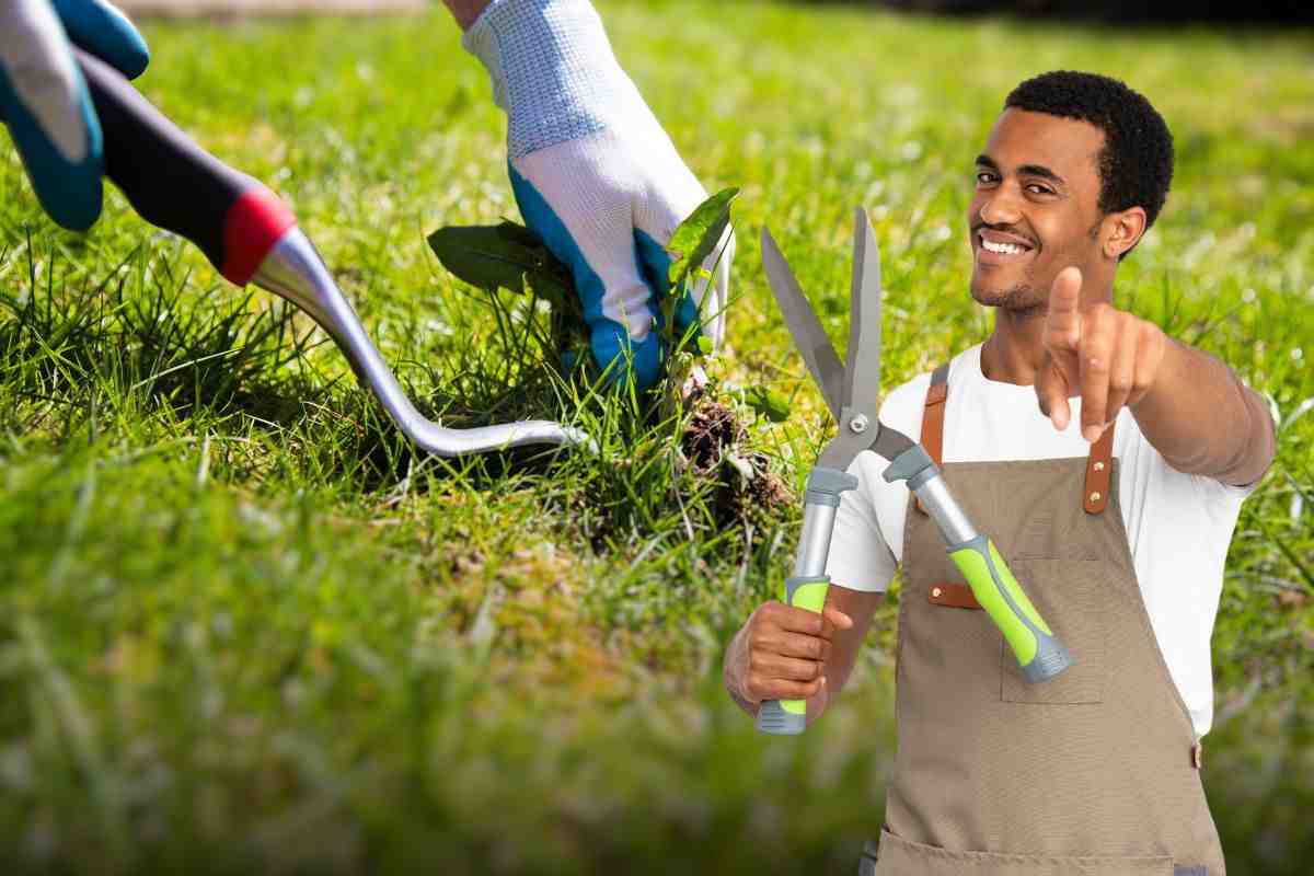 Erbacce in giardino? Puoi sbarazzartene senza rinunciare ad un prato perfetto: la guida