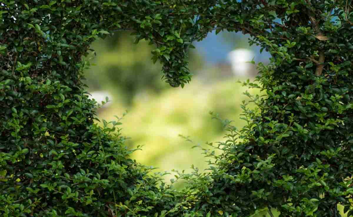 la soluzione per il giardino Leroy Merlin