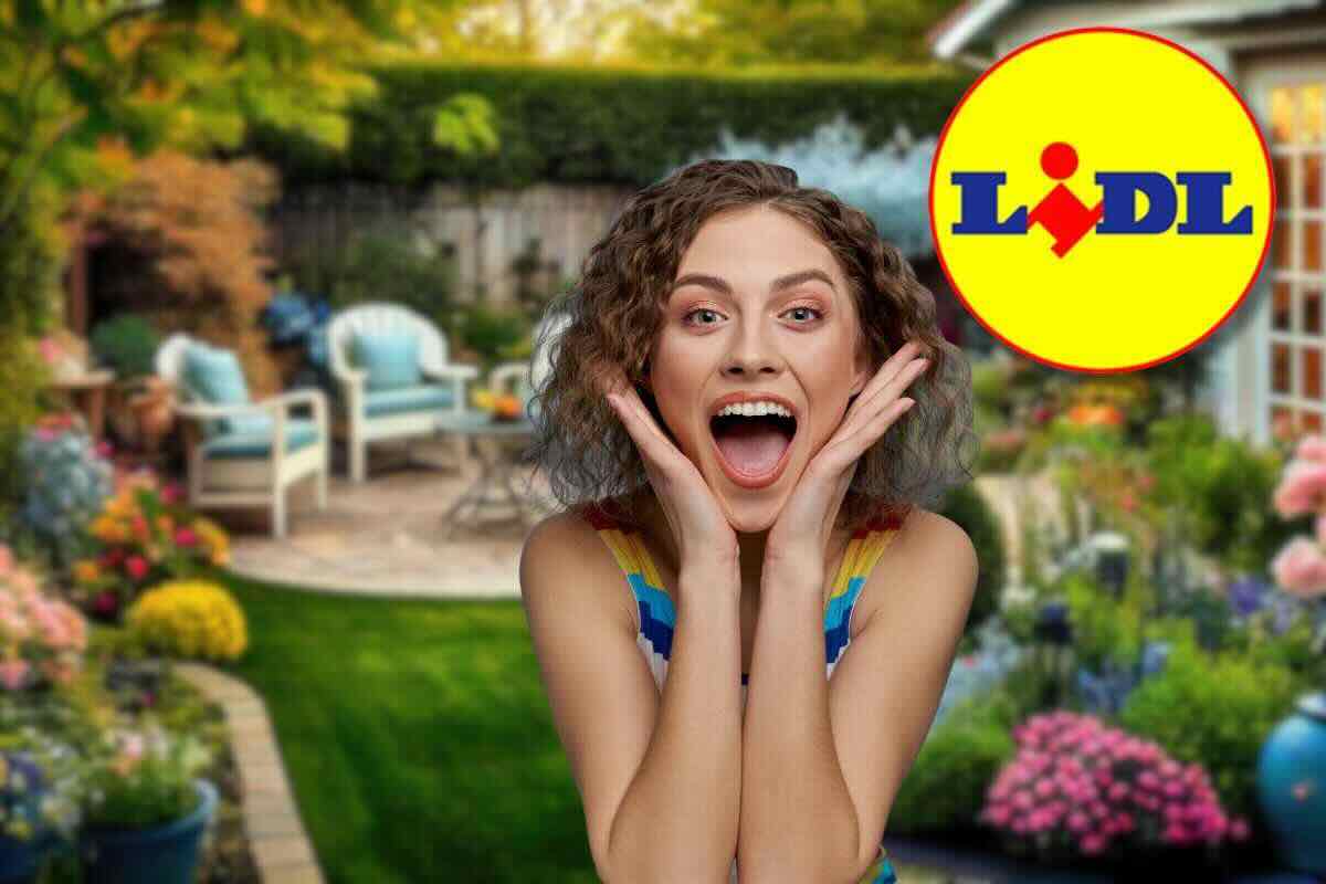 De LIDL Una gran idea de decoración de jardín: todos te envidiarán