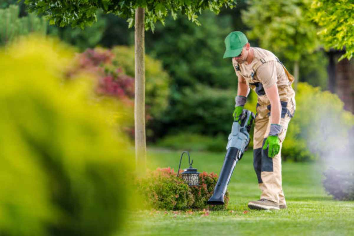 Prepara il tuo giardino alla primavera: il soffiatore LIDL per le foglie secche sta andando letteralmente a ruba