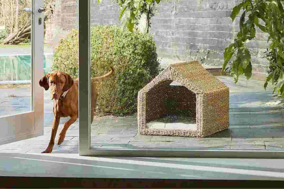 Zara Home Pet Collection: coccole di stile per gli amici a quattro zampe