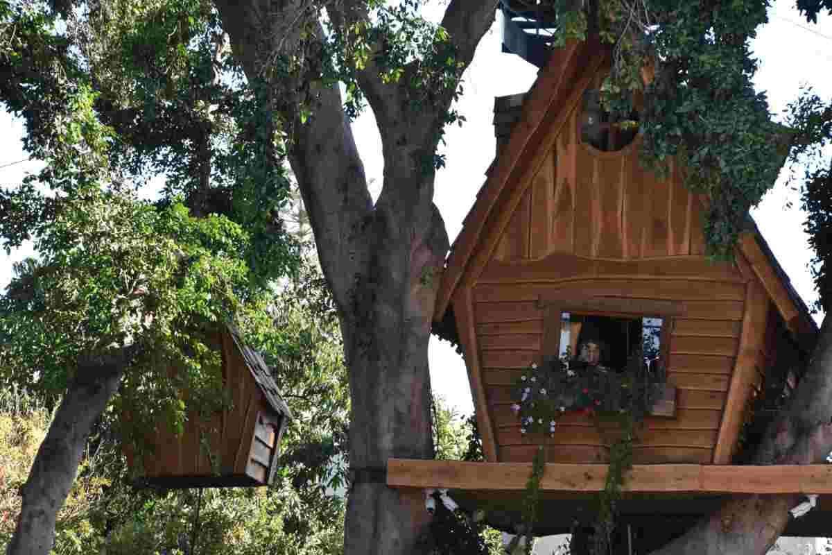 casa sull'albero che è uno degli hotel particolari in Italia