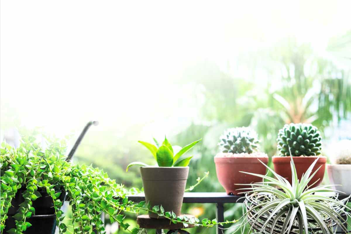 Quanto carico può sopportare un balcone