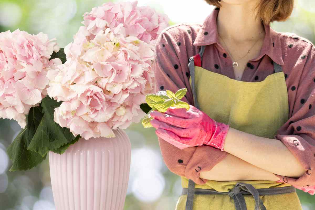 idee fiori per vaso di primavera