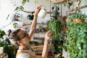 donna intenta ad innaffiare le piante sospese in casa prima di andare in vacanza