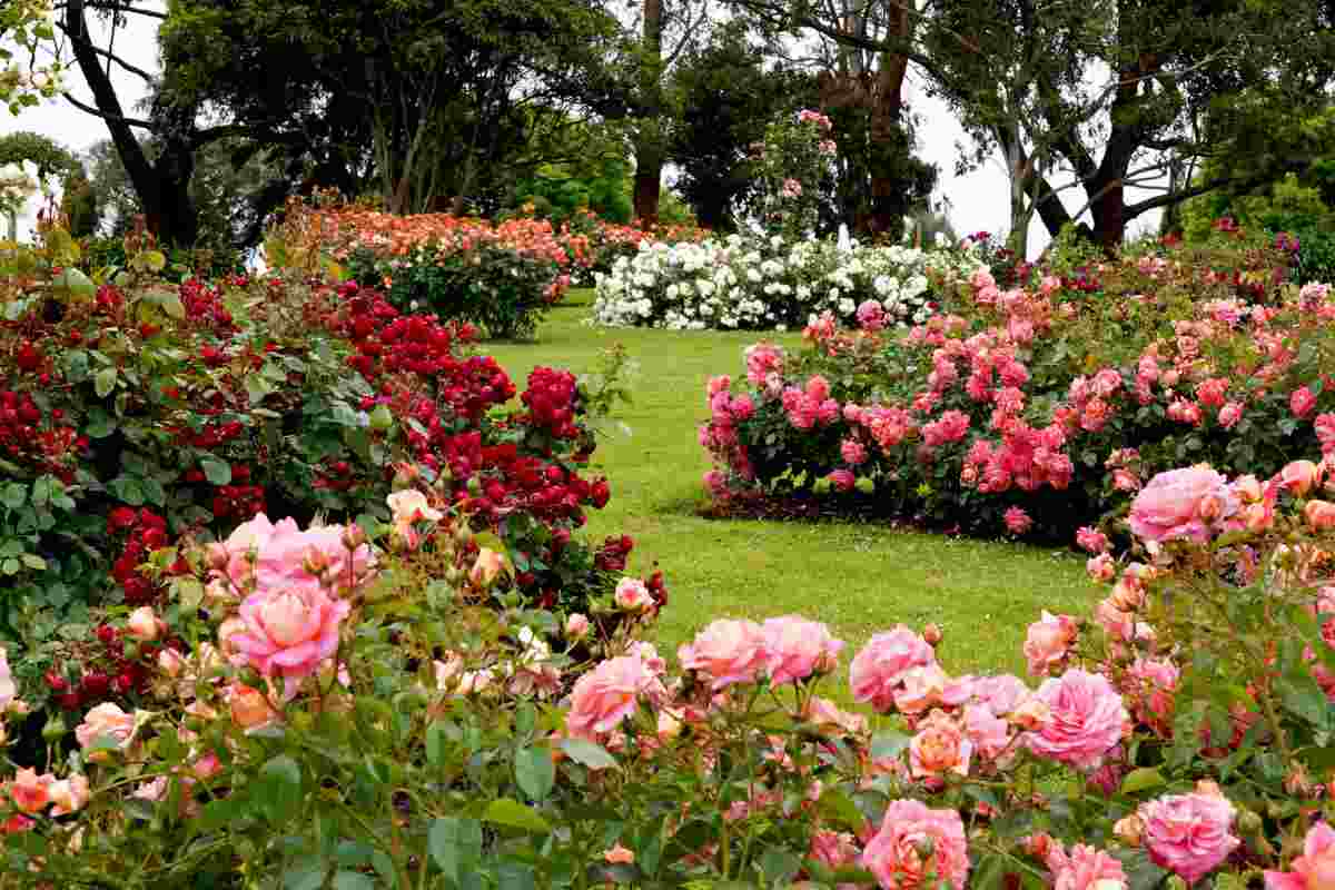 chi si occupa del giardino condominiale