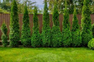 Come recintare il giardino